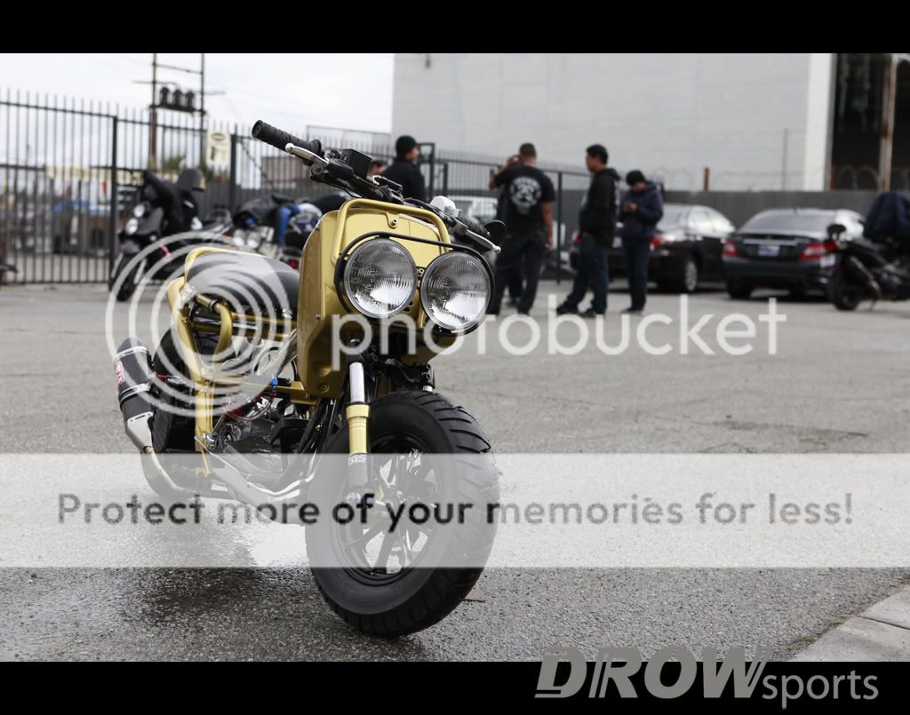 honda grom ruckus headlight